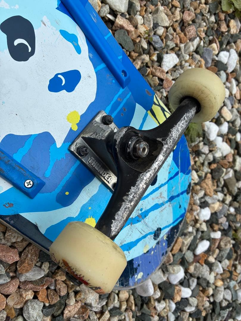 スケボー中古コンプリート　 8.5inch