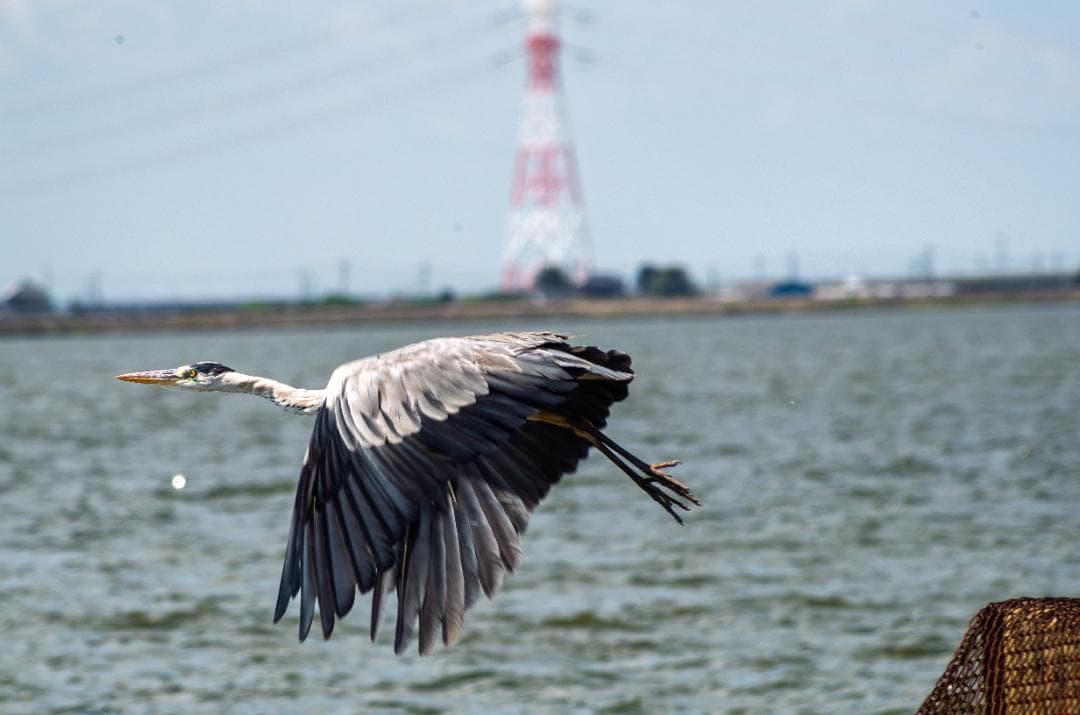 【訳アリ】【黒死病対策済】【内臓電池交換済】PENTAX K-30