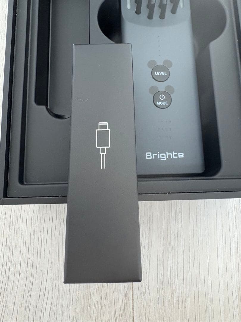 Brighte ELEKI BRUSH エレキブラシ 特別モデルミッキーマウス