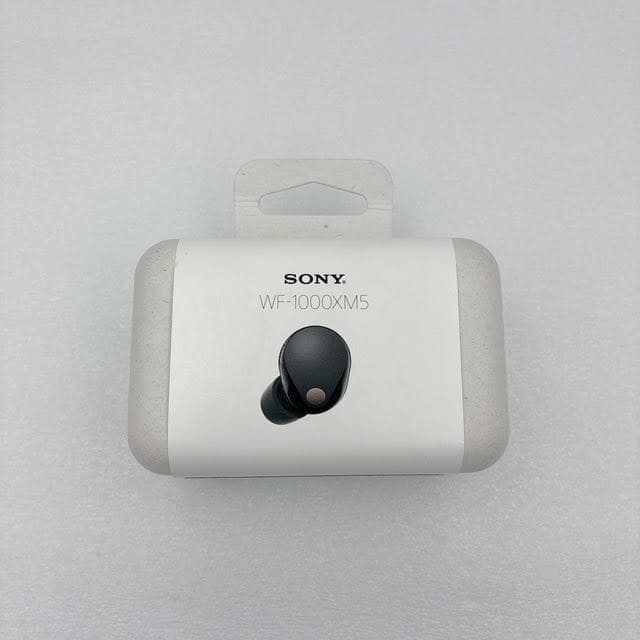 【極美品】SONY Bluetooth ワイヤレスイヤホン WF-1000XM5