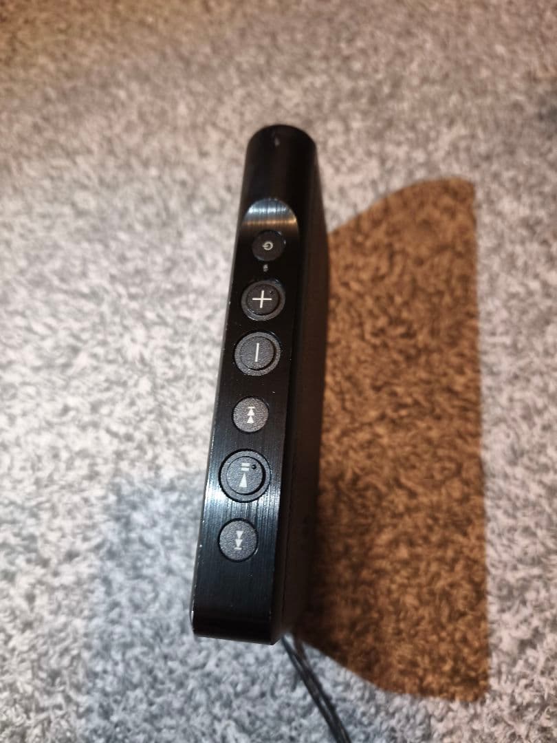 SONY WALKMAN NW-WM1A　純正ケースCKL-NWWM1 付