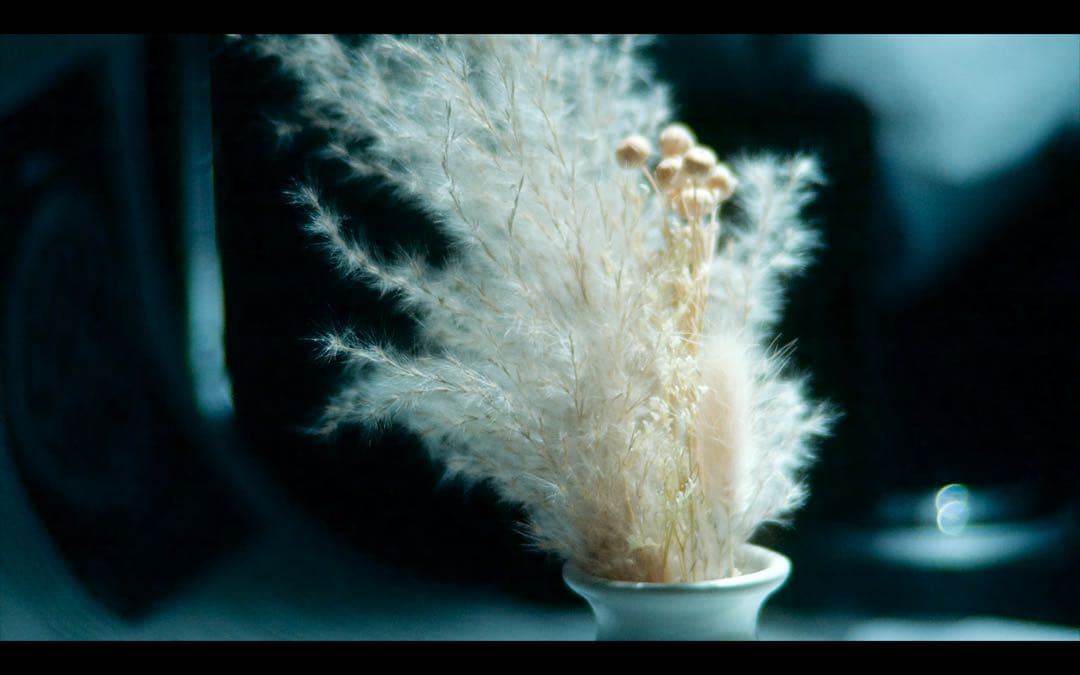 レア？作例有　シネマレンズ　Meteor 17-69mm f1.9 m42