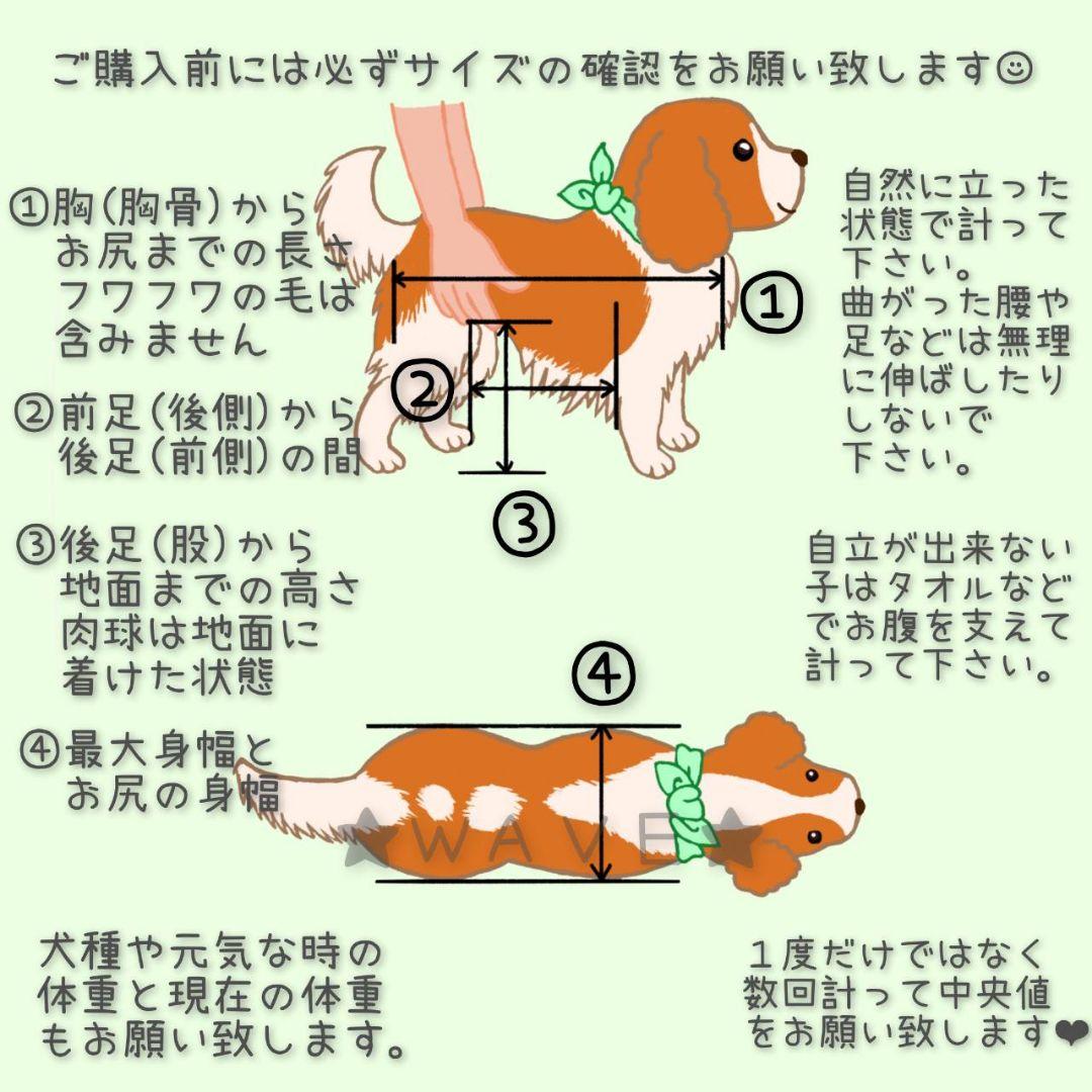 Naoppi　犬用車椅子　犬の歩行器　パグ　歩行補助　サポート　犬の車いす