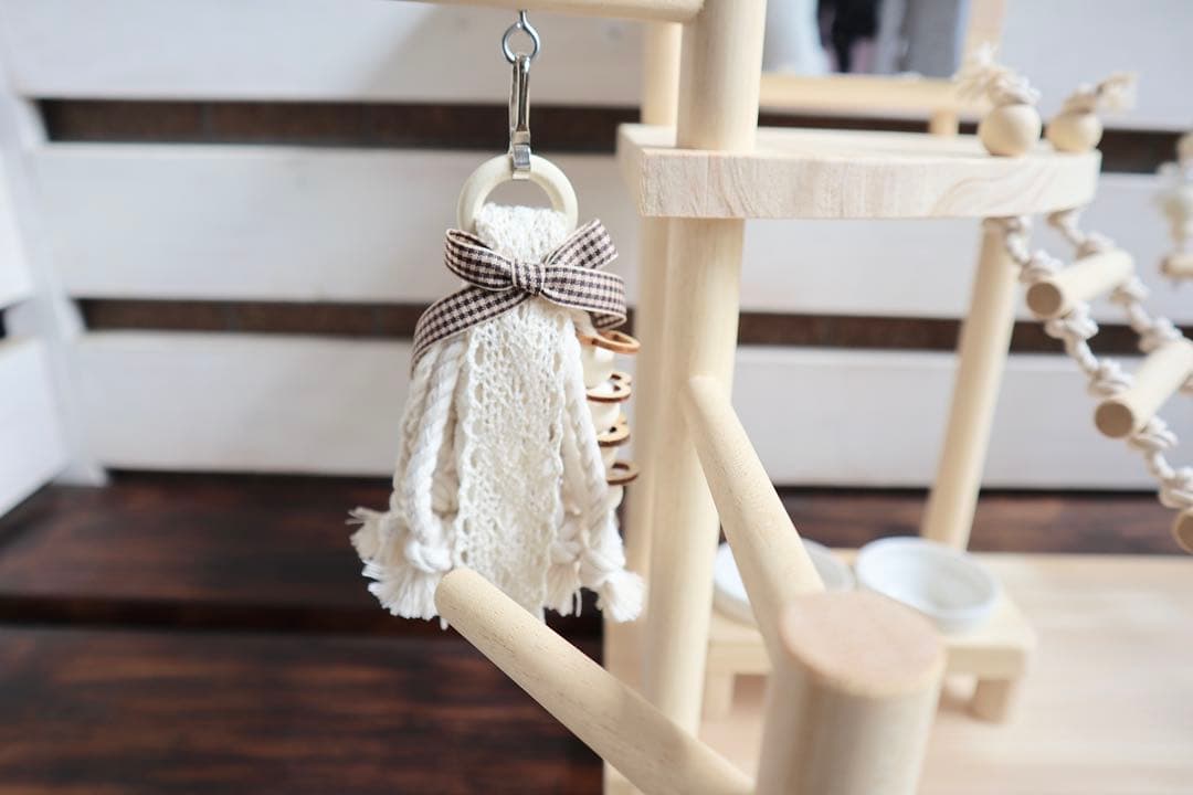 ことりのおおきなあそびば　インコ　バードジム　バードアスレチック　ブランコ