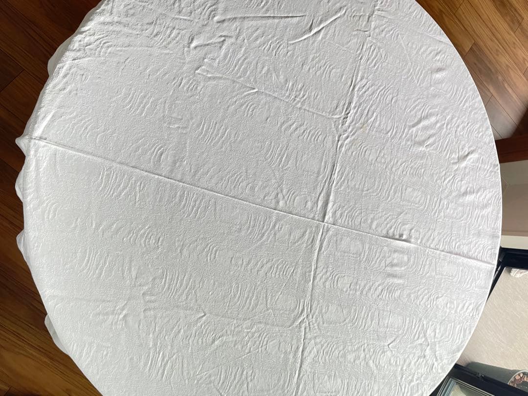 ZARA テーブルクロス ポルトガル製コットン　170×250cm
