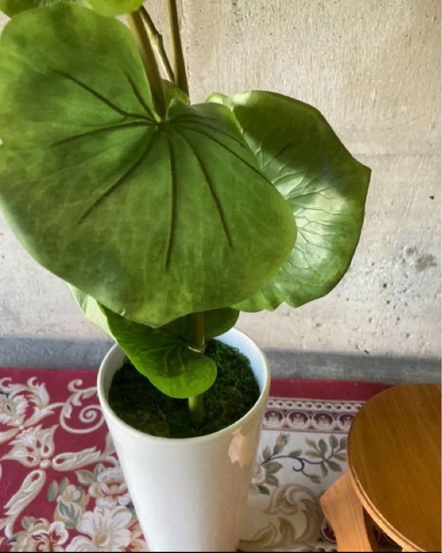 光触媒　人工観葉植物　ウォールグ リーン　フェイクグリーン　シーグレープ100