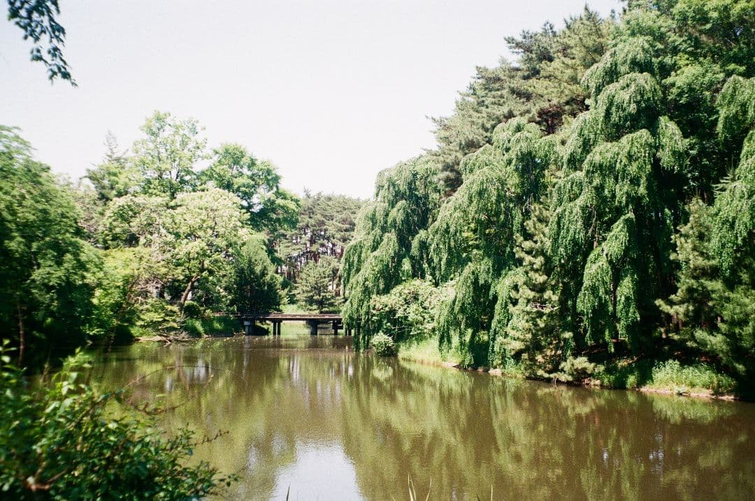 【動作OK 作例あり】Olympus μ Zoom 105 フィルムカメラ