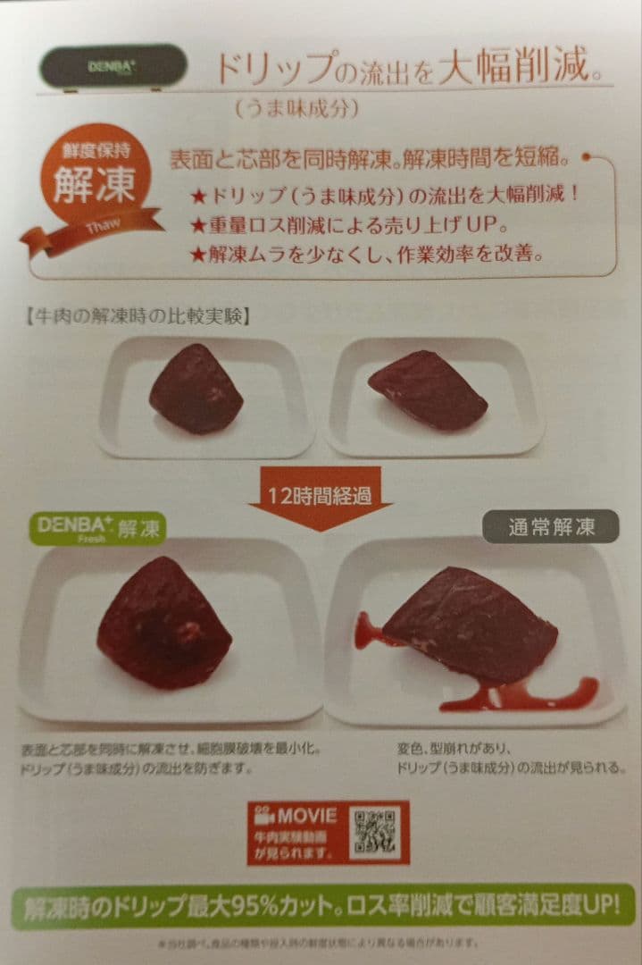 【訳あり新品未使用】DENBA Freshデンバフレッシュ☆多機能鮮度保持装置器