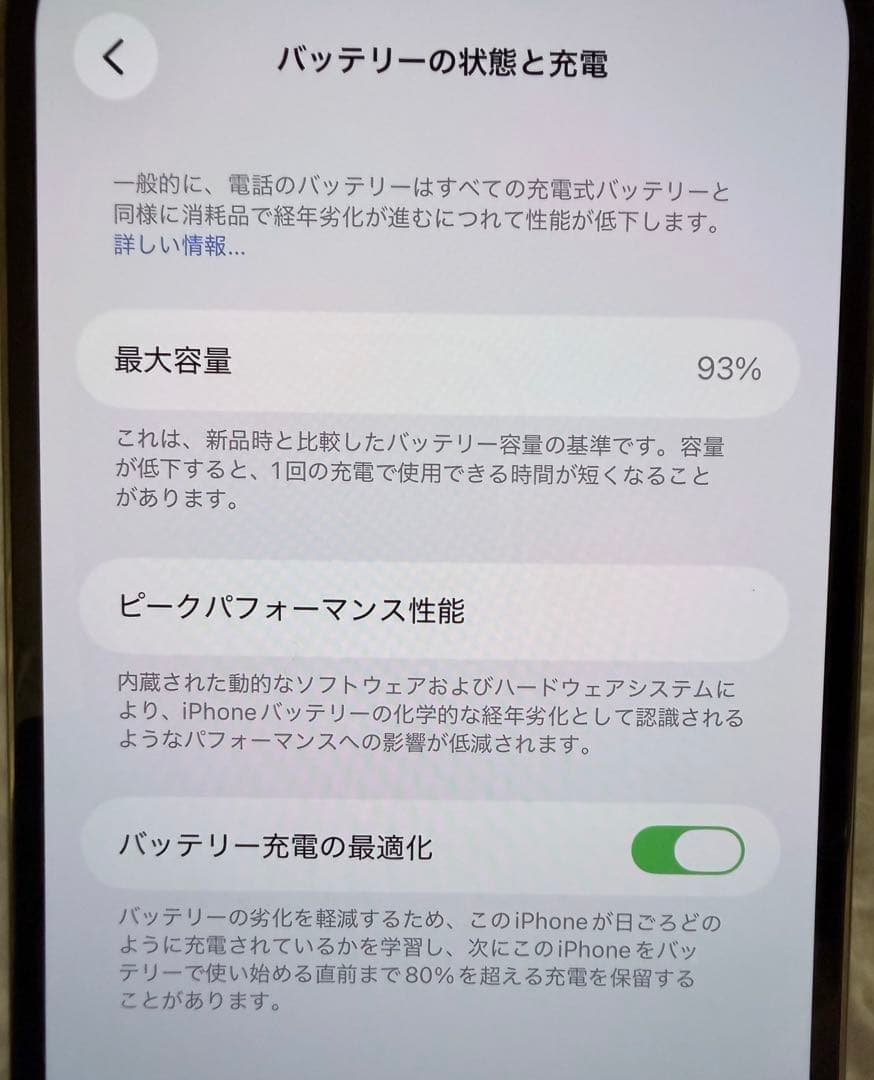 1年使用★バッテリー93%⭐️iPhone 13Pro max⭐️純正急速充電器付き