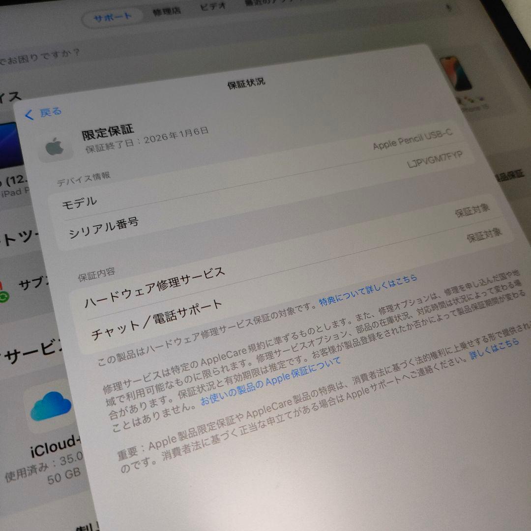 純正 Apple Pencil USB-C アップルペンシル typeC 超美品