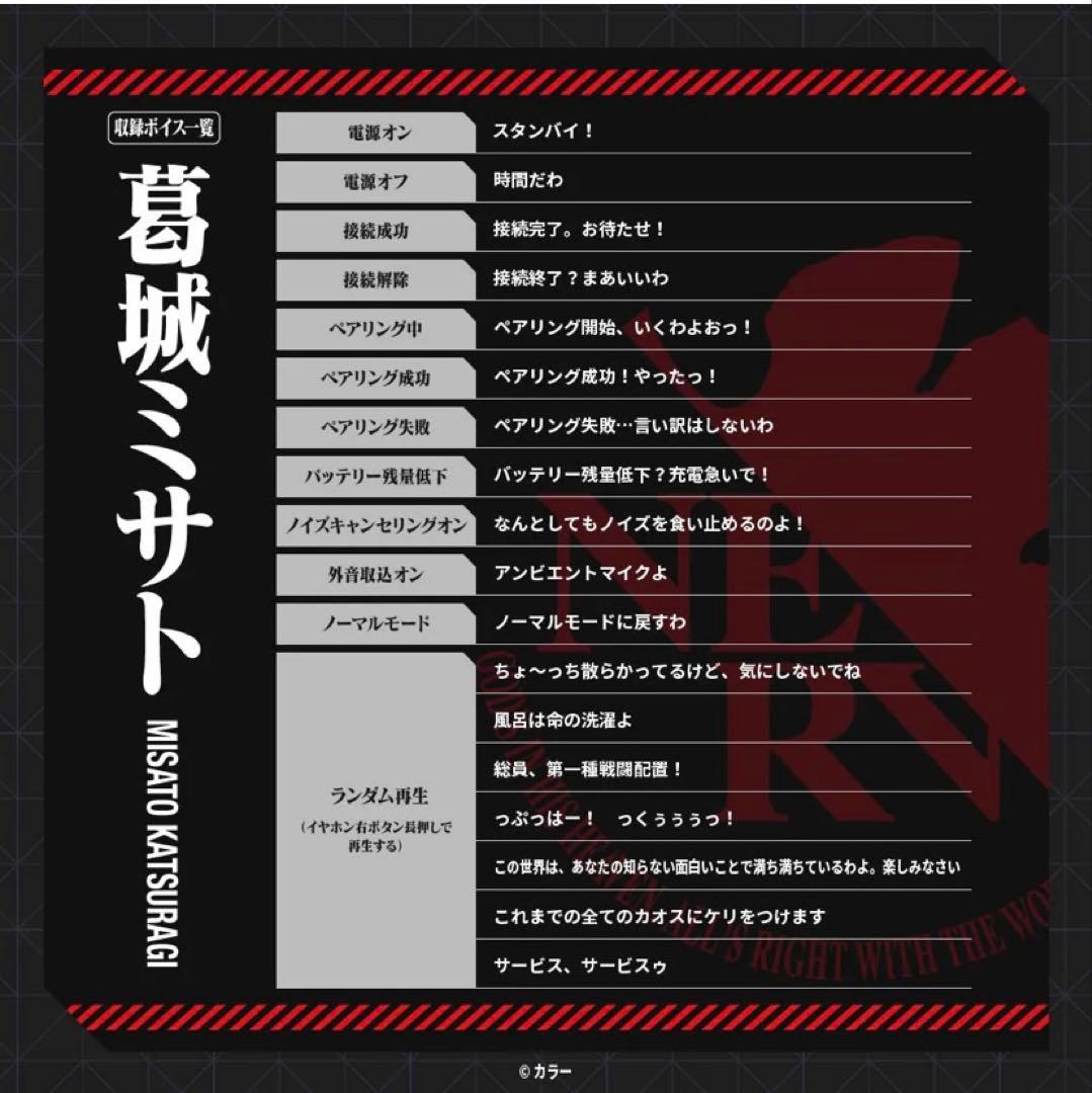 TE-V1R-EVA AVIOT ワイヤレスイヤホン