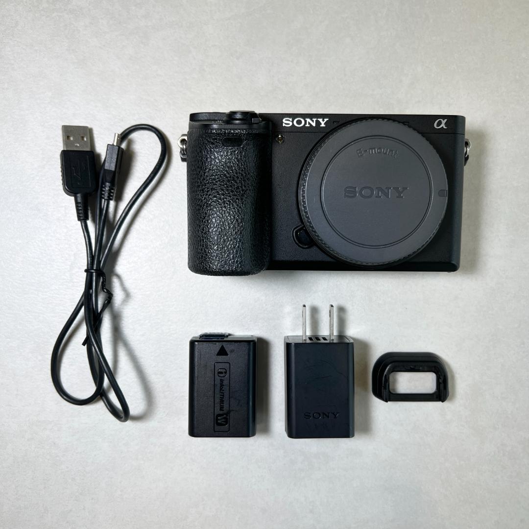 SONY α6500 ILCE-6500 ミラーレス一眼 本体