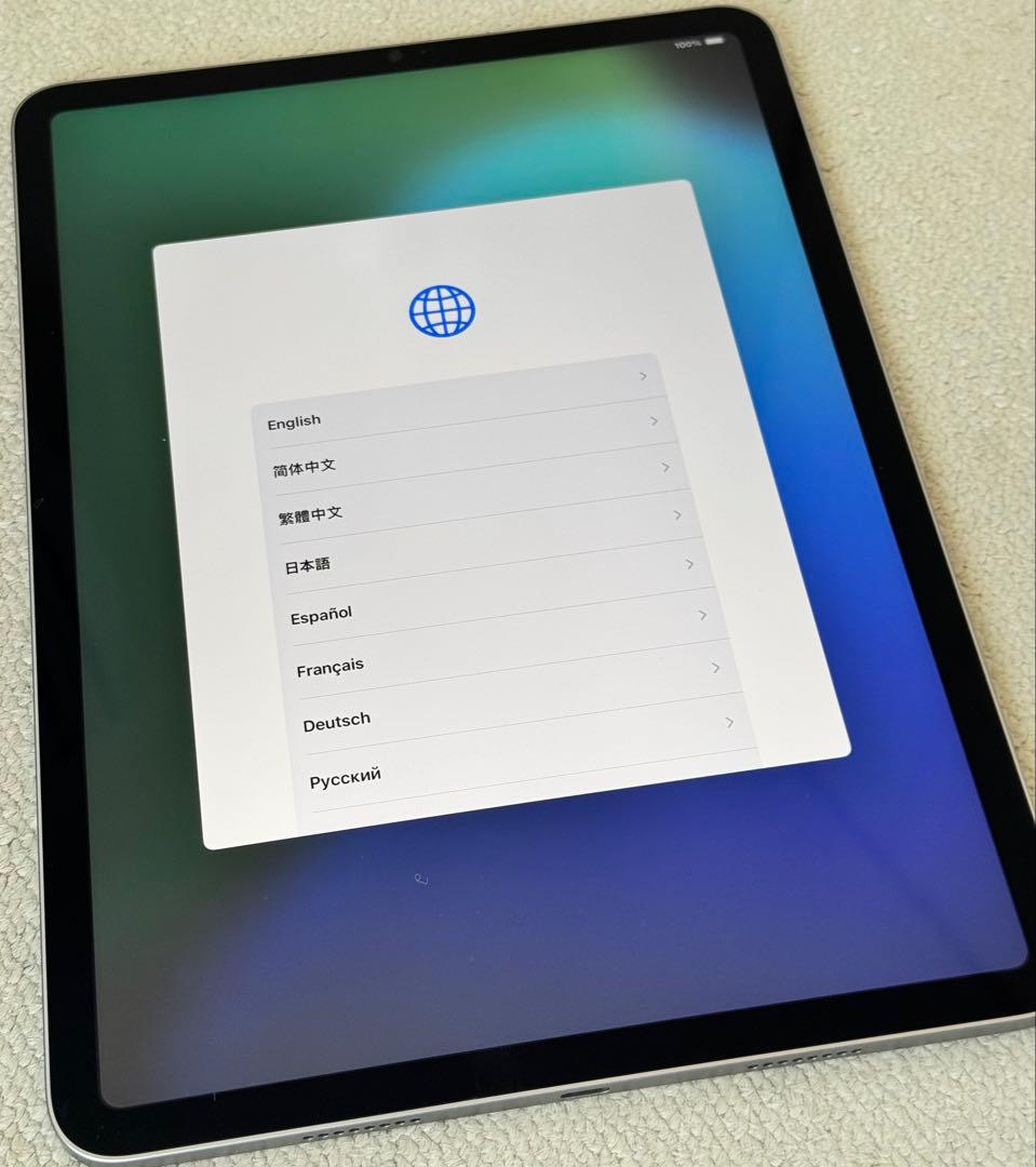iPad Pro (Wi-Fi 256GB, 11インチ, 第4世代)