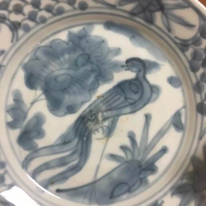 明時代 大皿 中国古美術 花鳥 青花
