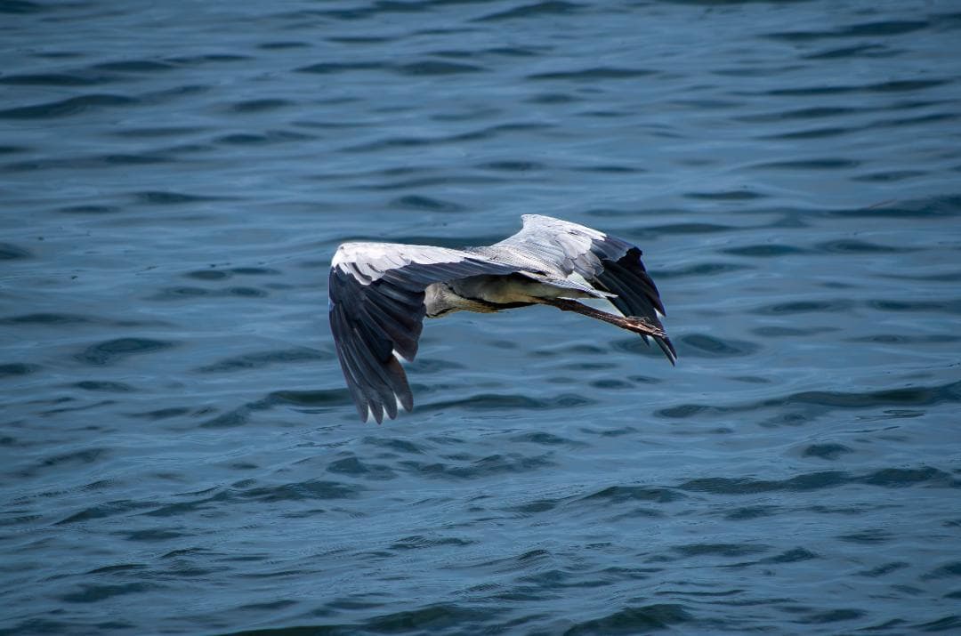 【黒死病対策】【内臓電池交換】PENTAX K-30 カメラらしいブラック