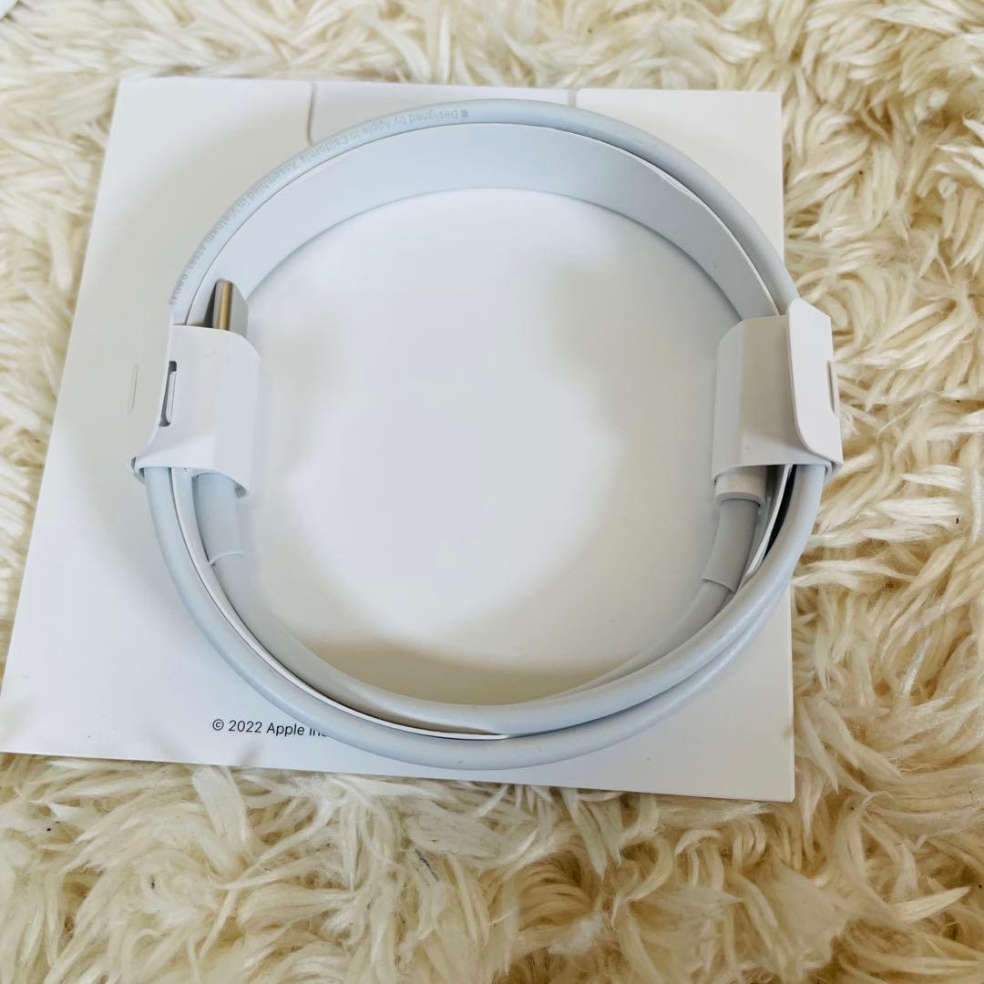 付属品未使用✨　Apple Airpods Pro (第2世代) ライトニング