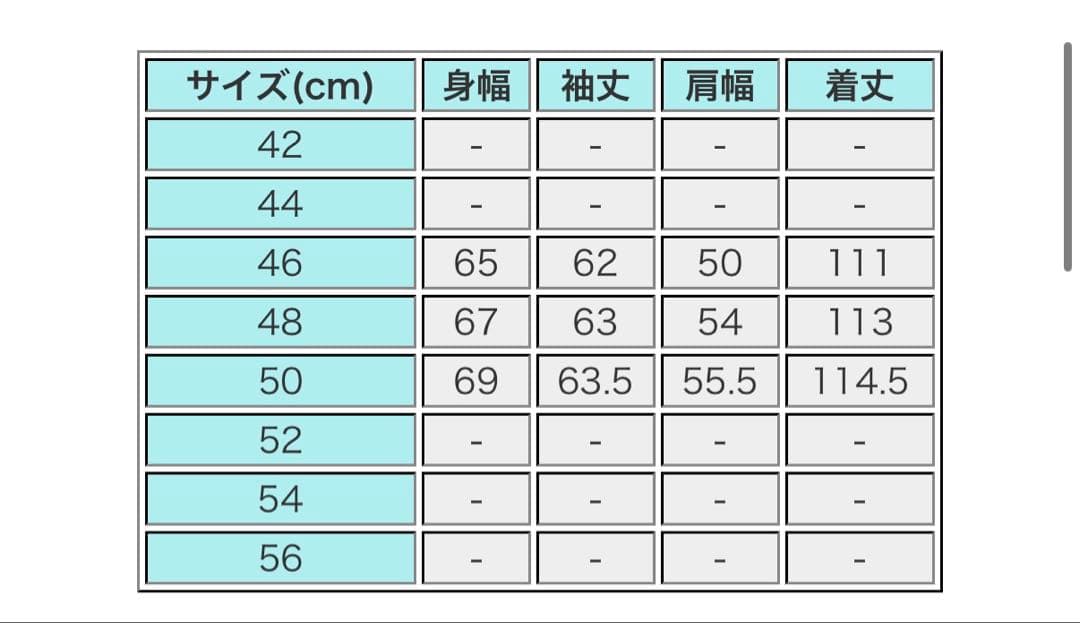 希少！！FENDI 46ストライプデザイン ナイロンジャケット