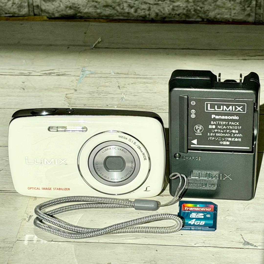 Panasonic「LUMIX S」DMC-S1