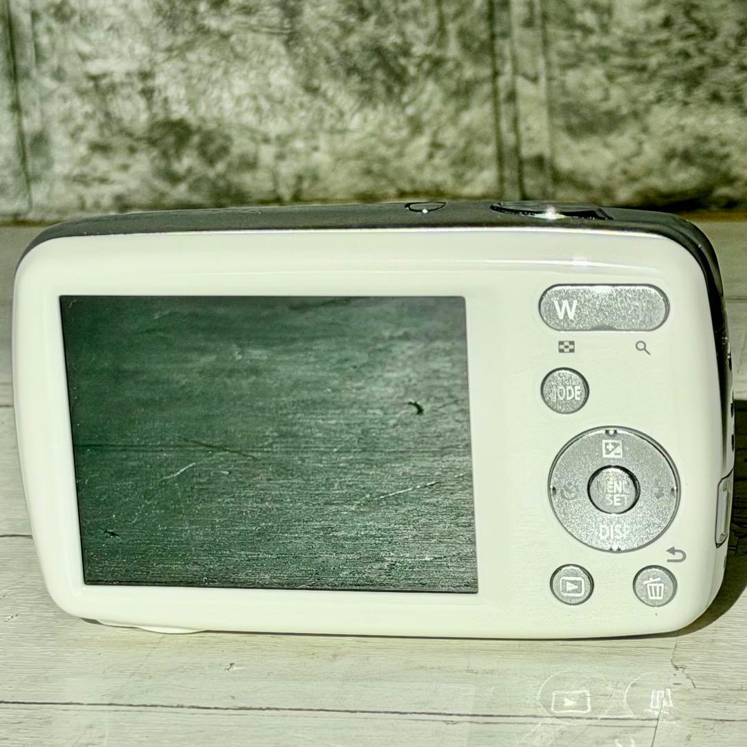 Panasonic「LUMIX S」DMC-S1