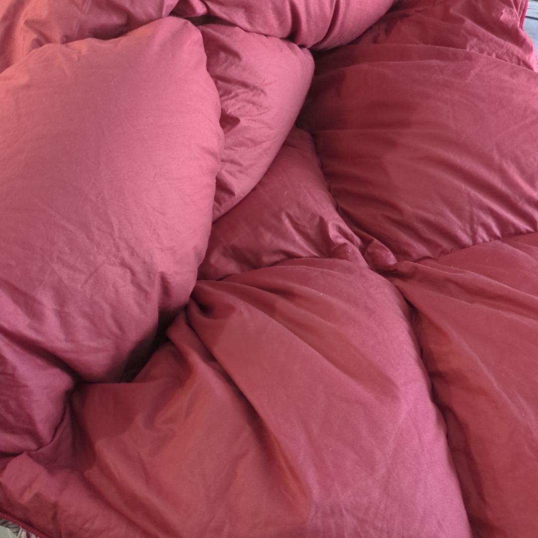 Y*I様 高級羽毛掛け布団 ホワイトグース シングル