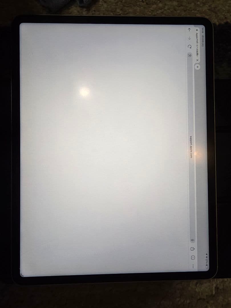 最終値下げApple iPad 12.9　第5世代 + Apple Pencil