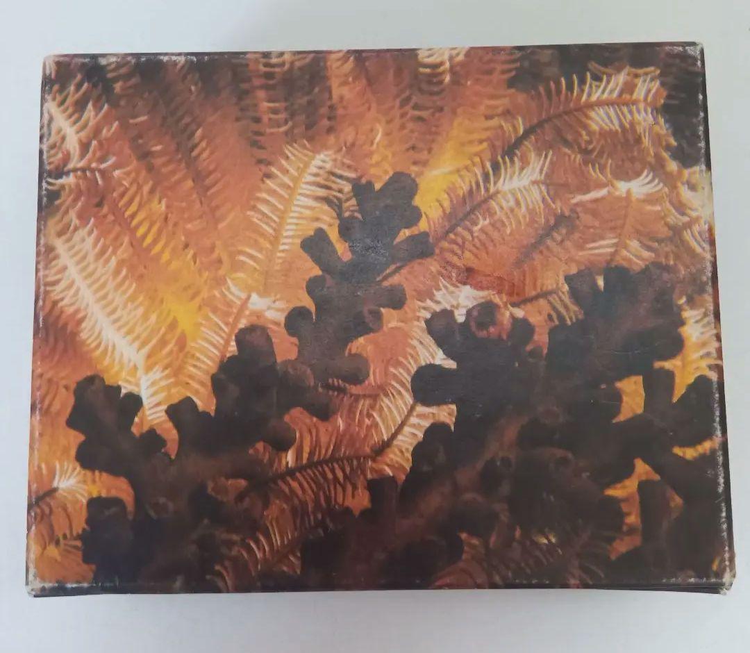 ロレックス　空箱