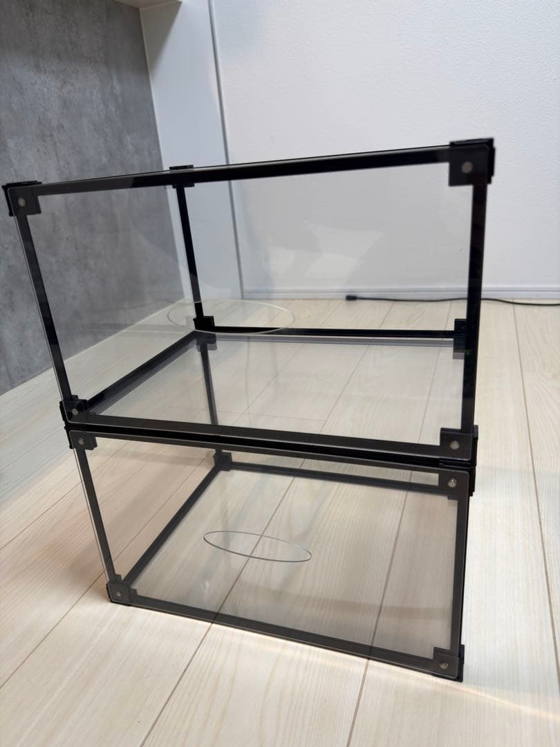 スニーカーコレクションボックス　20セット