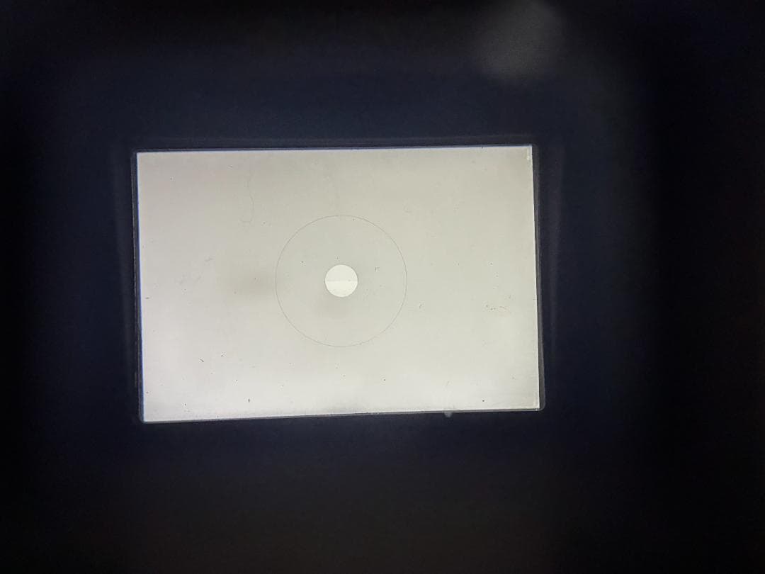 ☆完全動作☆良品！ Nikon F2 アイレベル　フィルム＃327