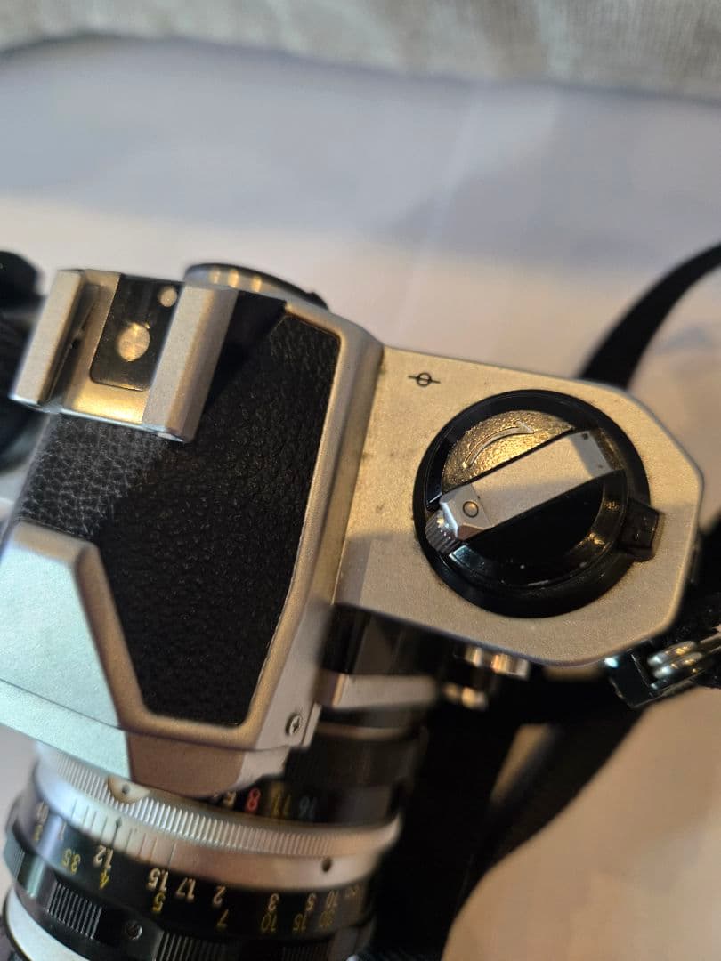 「カメラすき♥️マロン」