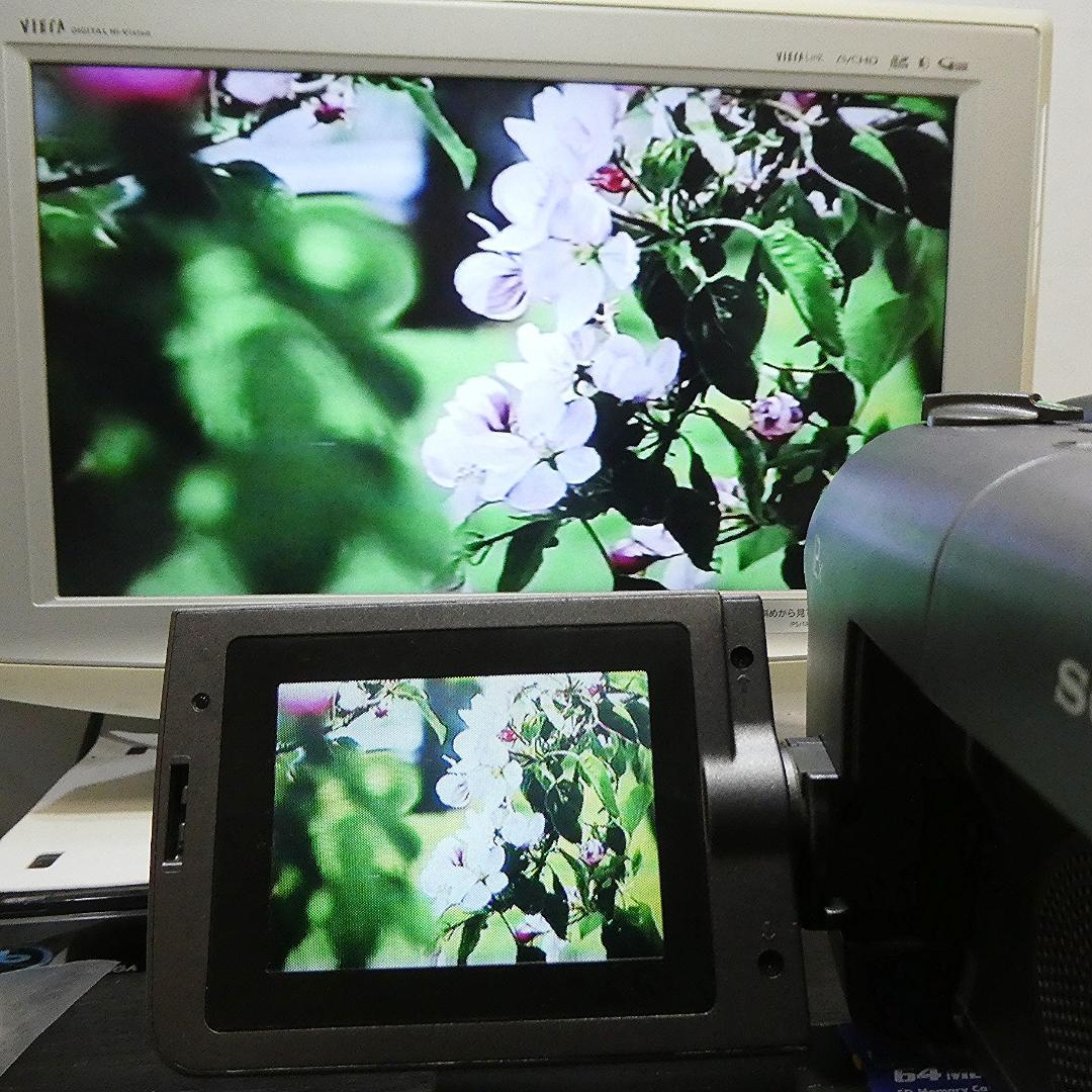 動作良好ソニー CCD-TRV60 VideoHi8ビデオカメラ DVD化に最適