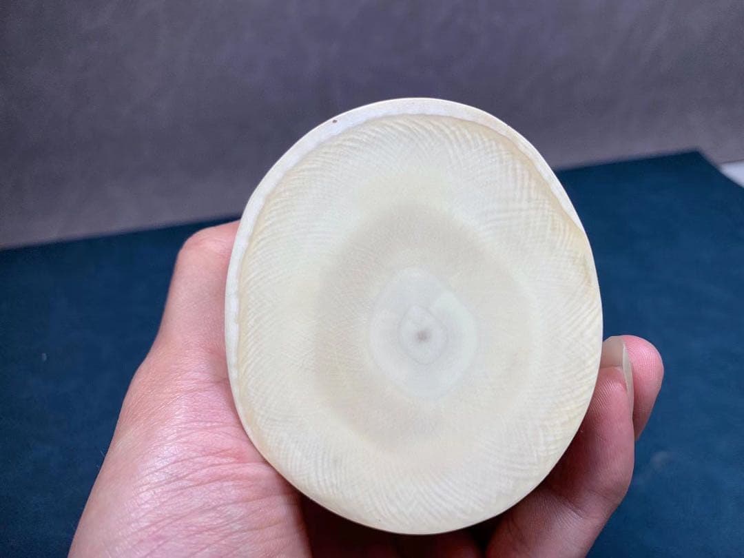 天然猛牙美しい手作り彫刻元宝弥勒 置物