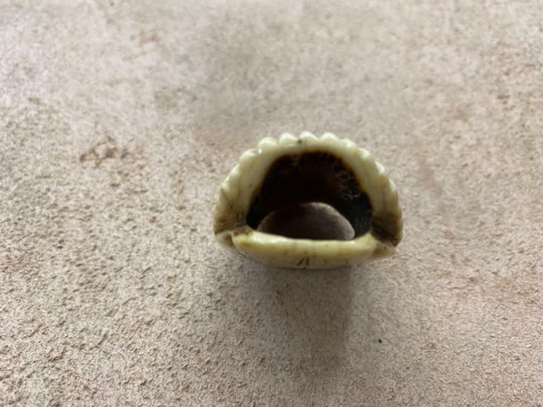 オークセール】根付(ねつけ) 変わり柄