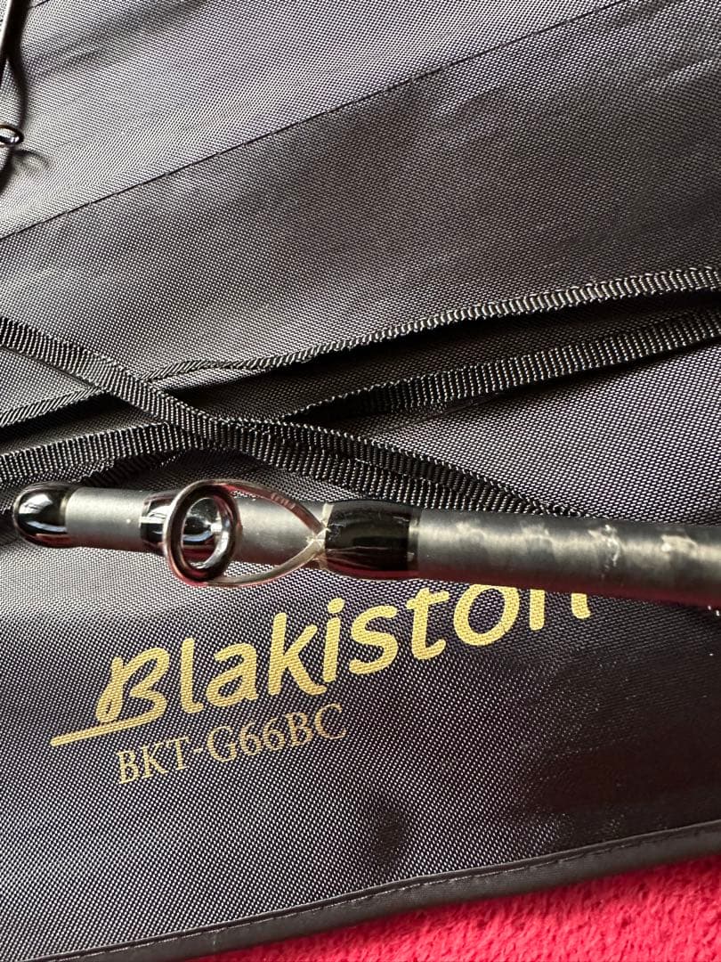 高*橋様 期間限定d3カスタムルアーズ ゼネラリスト BKTG66BC ブラキス