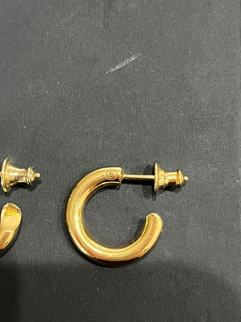 CAREERING PLACEBO 301F YW キャリアリング　フープピアス