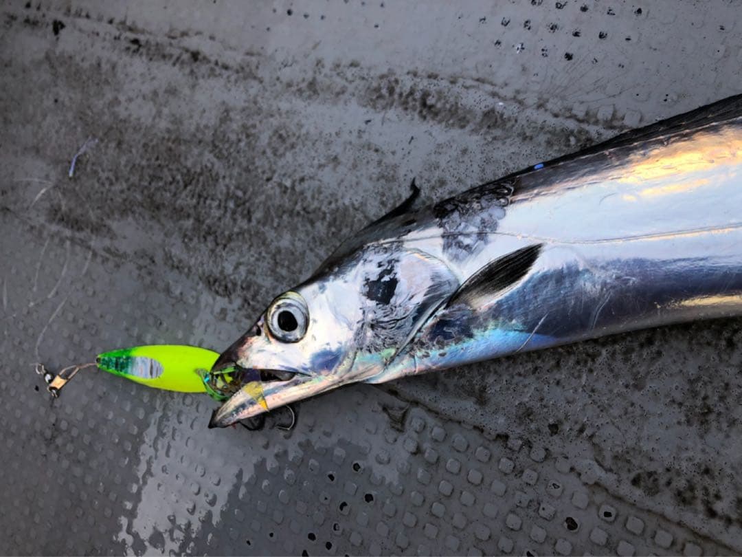 【説明欄必読】10個セット★ ギアラボ　タイラバ　フリップ　マダイ専用