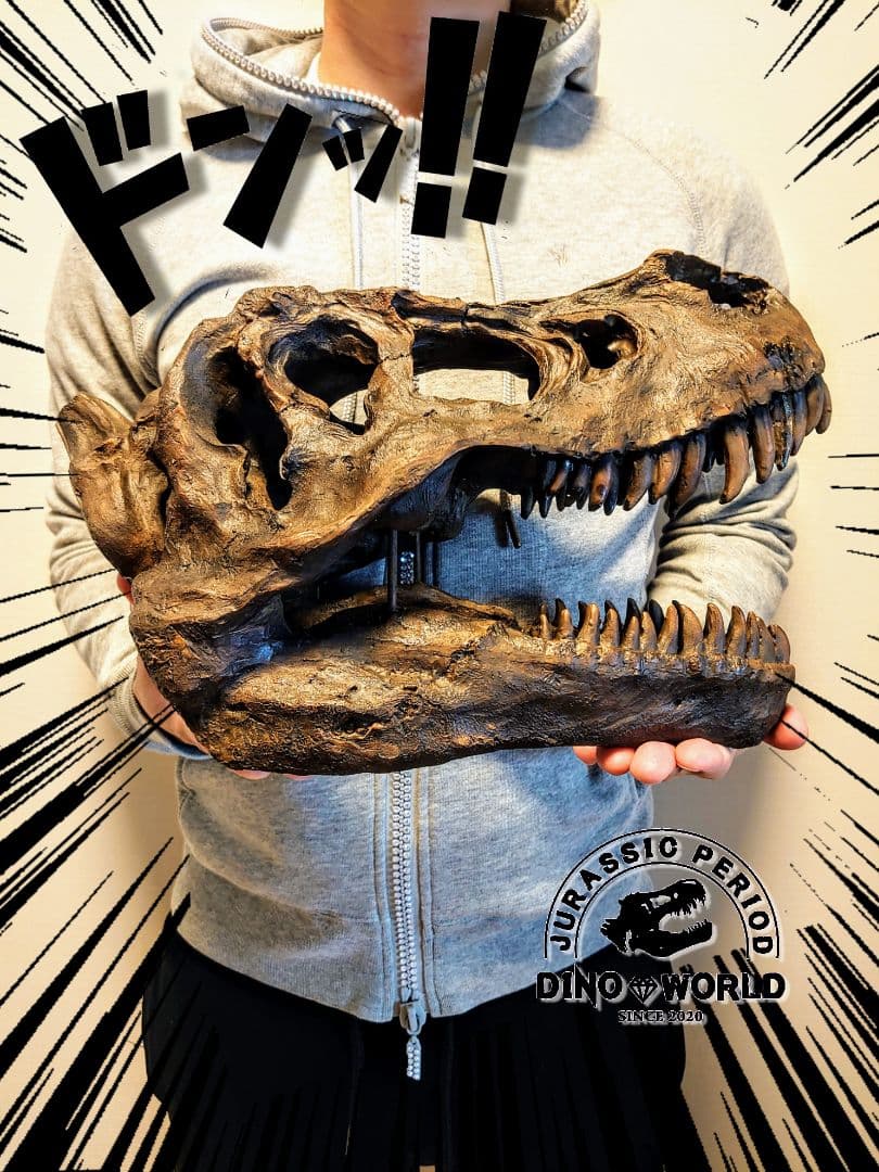 【DINOWORLD】ティラノサウルス 頭骨 化石 ジュラシックパーク