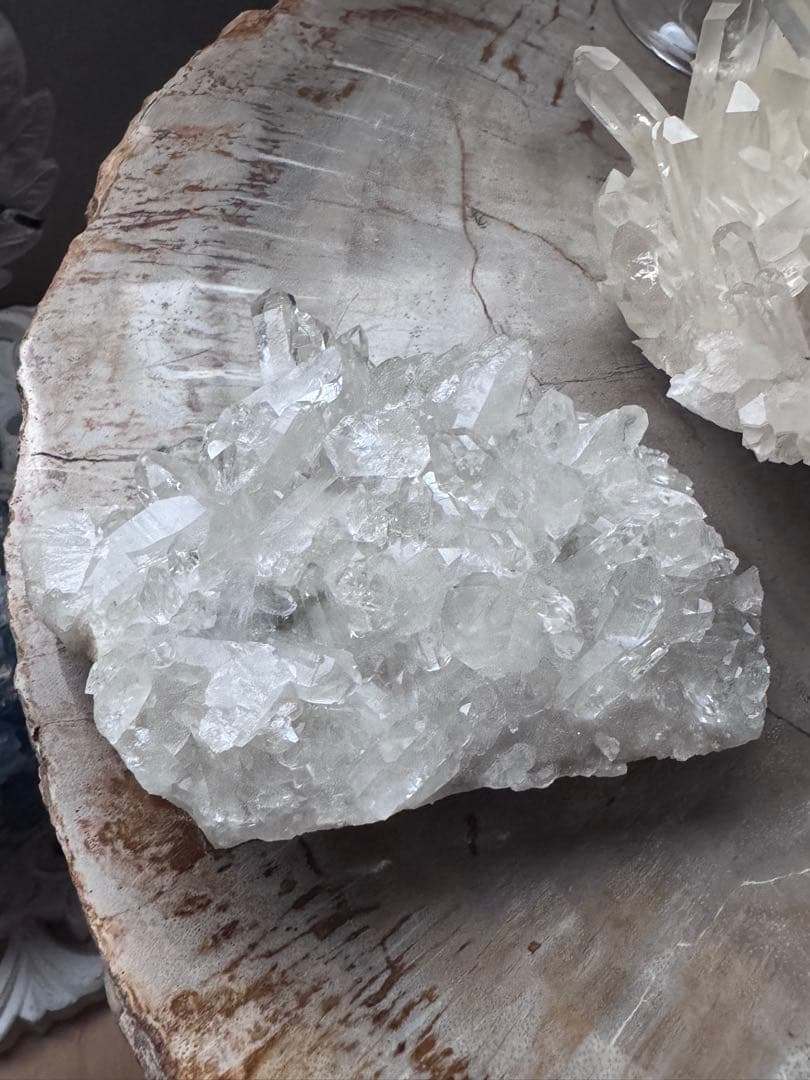 ちり様ご確認用ページ