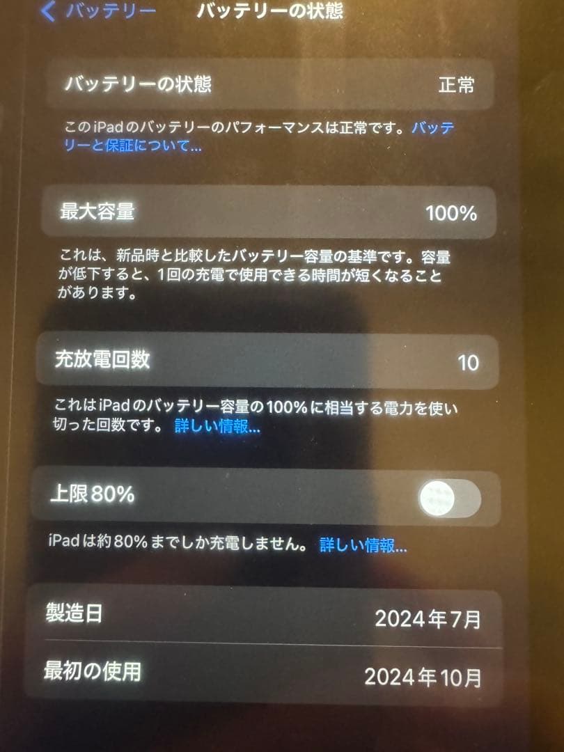 iPad mini セルラー 256 ブルー pencil pro AC＋加入