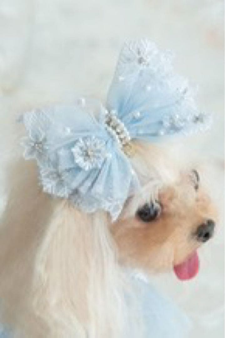 【 Pet a Portre (ペット ア ポルテ) 】水色ドレス リボン付き