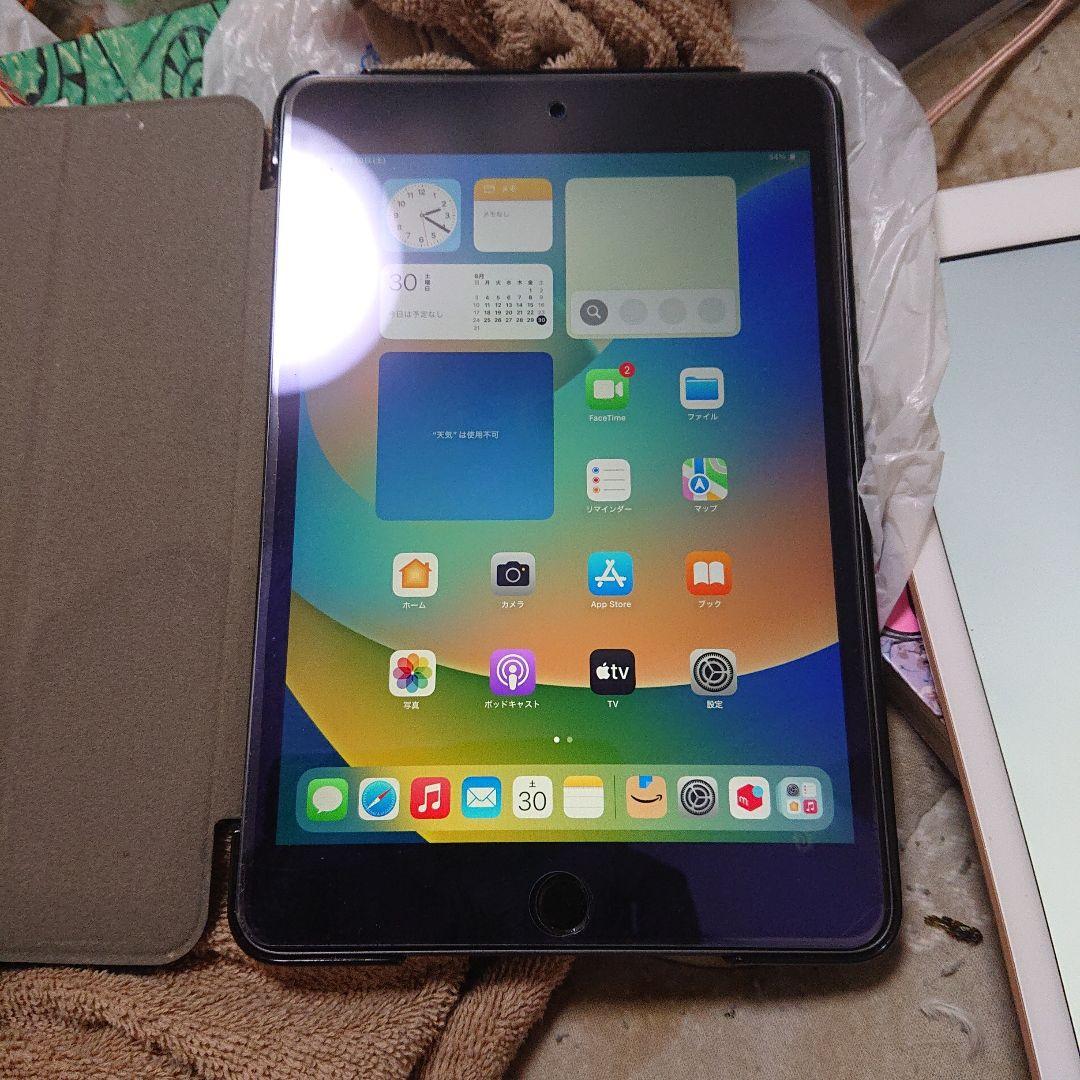 iPad mini (第5世代) グレー 256GB wifiプラスセルラー