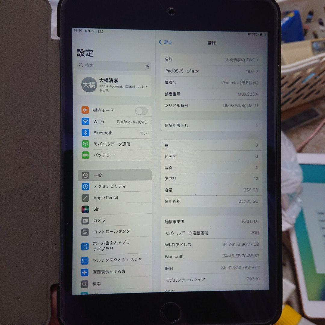 iPad mini (第5世代) グレー 256GB wifiプラスセルラー
