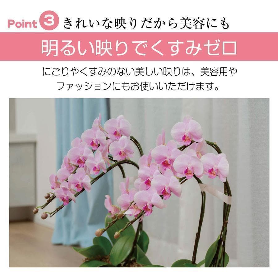 2660フィルムミラー 割れない鏡 全身鏡幅100×高さ160cmキャスター付白