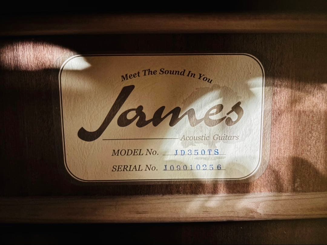 James アコースティックギター JD350TS タバコサンバースト