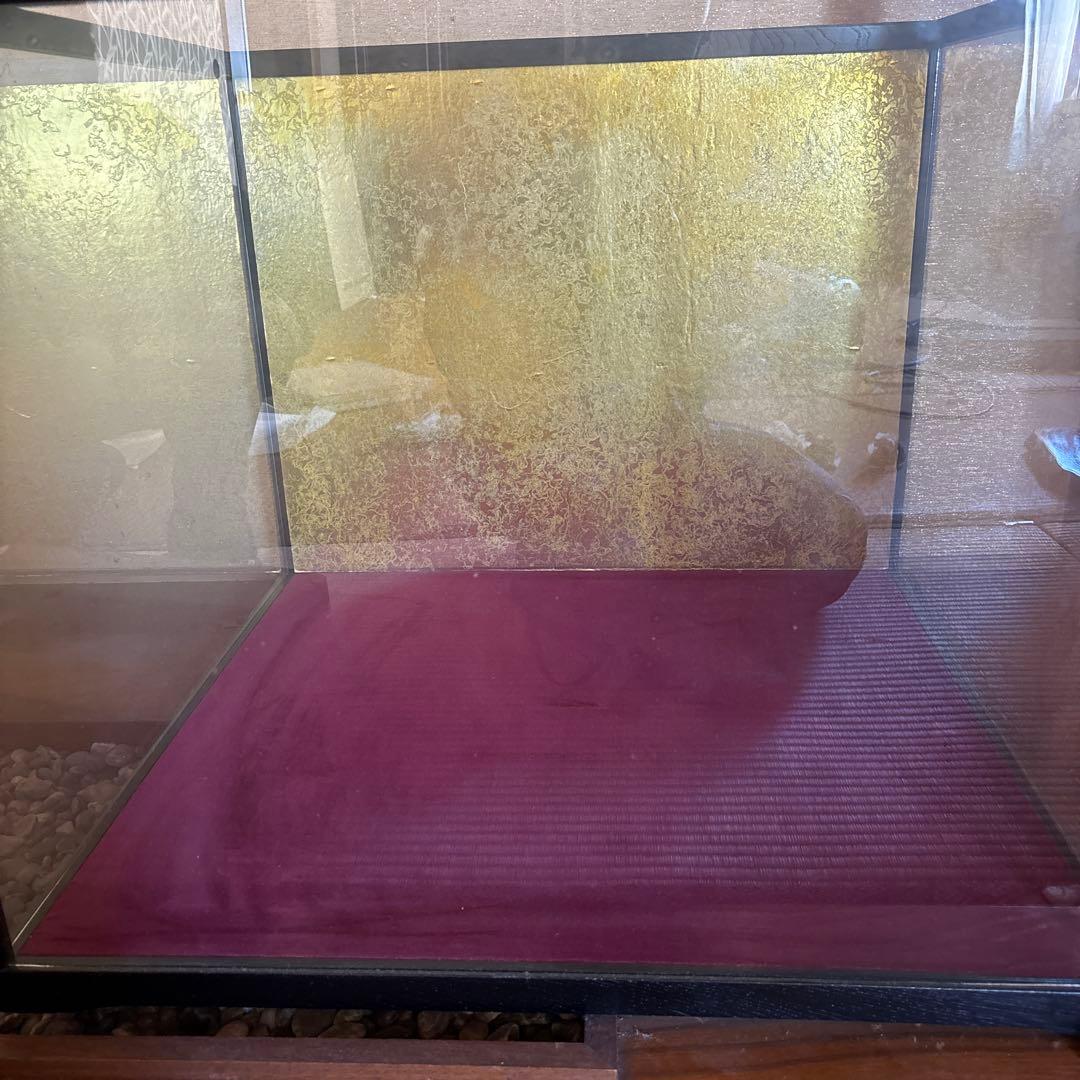 雉　剥製　4羽セット