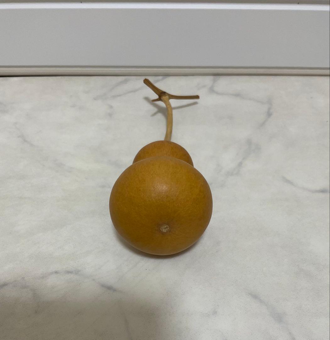 ひょうたん 瓢箪 置物 幸福を運ぶ 縁起物