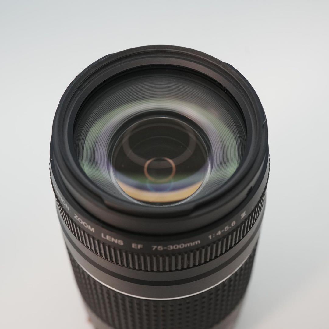 Canon純正 75-300mm 望遠レンズ 美品 a4716