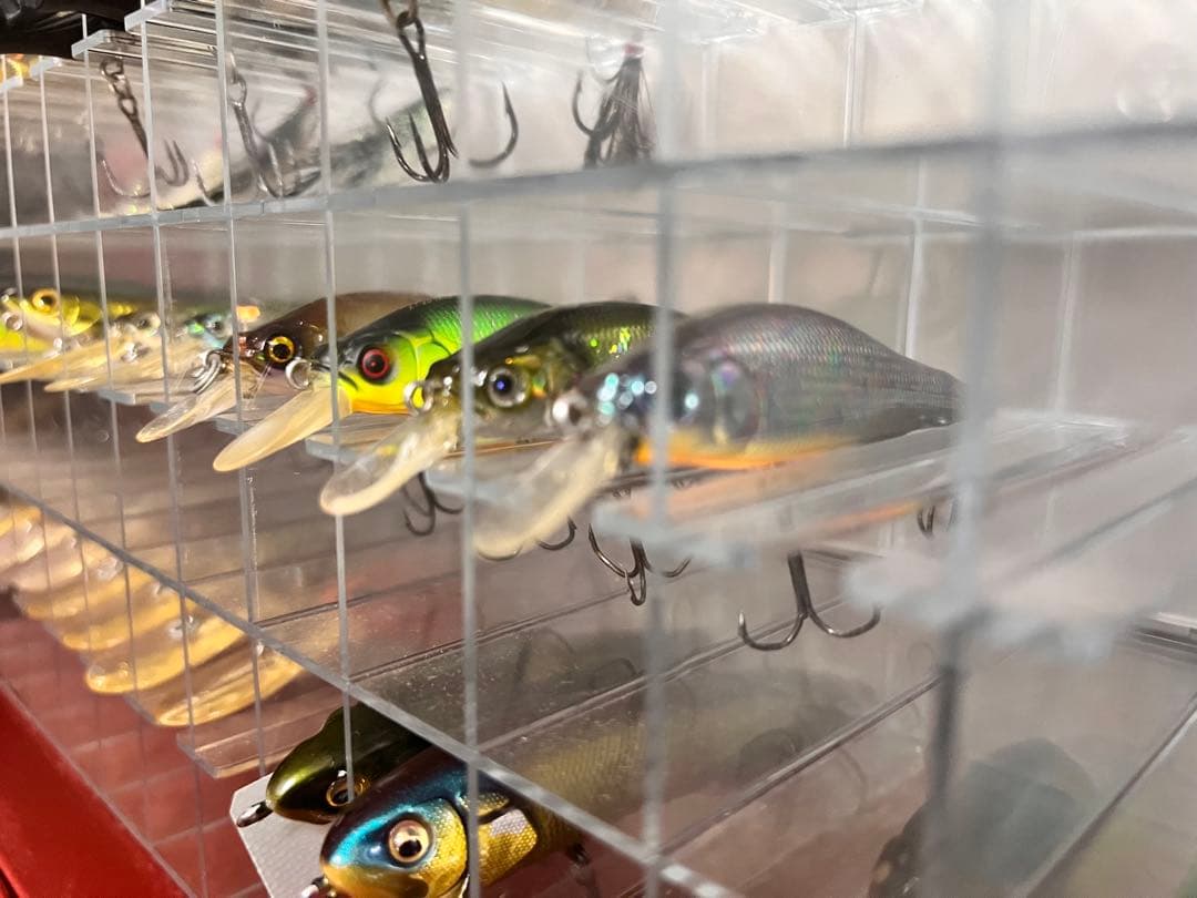 メガバス　アサイラム&ルアーセット