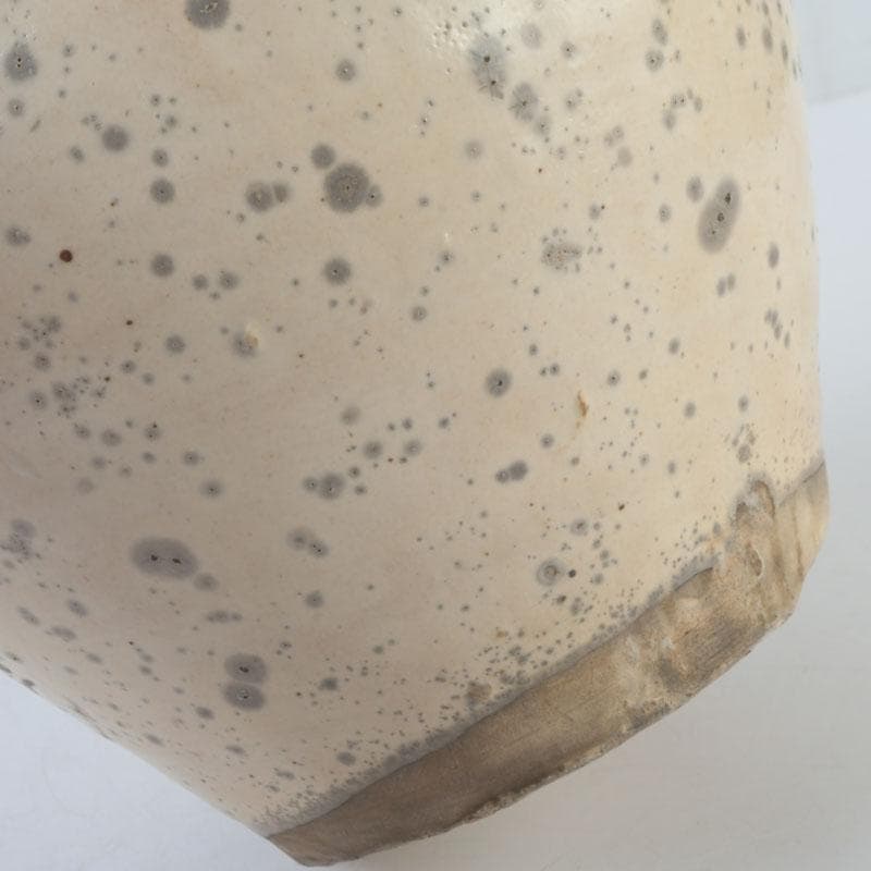 中国　磁州窯　鉄絵　花草文　高麗水指　共箱　V　9891A