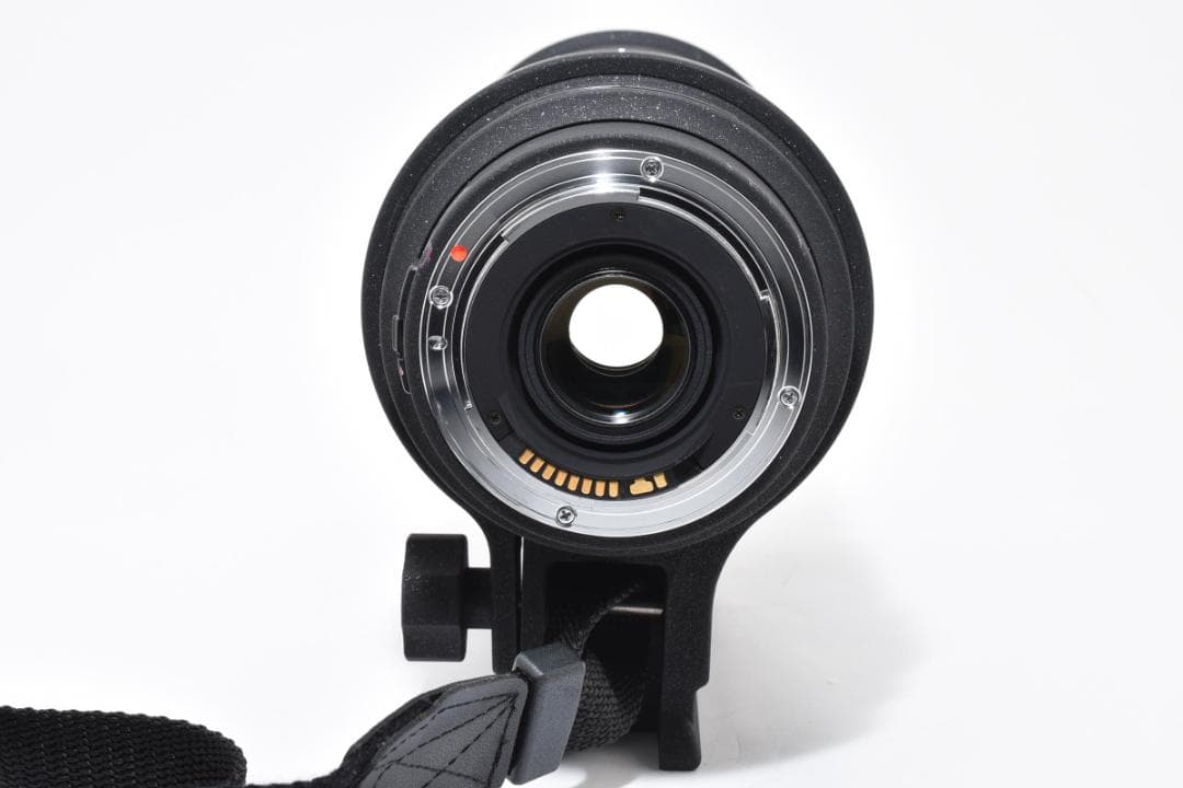 【大迫力！超望遠】SIGMA 50-500mm DG OS HSM キャノン用