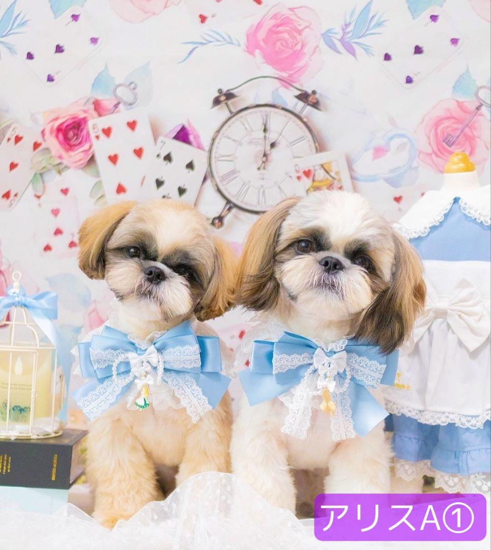 背景布夏BA②　キッズ、ペット、7,8月撮影用フォトブース　サーフィン　ピンク